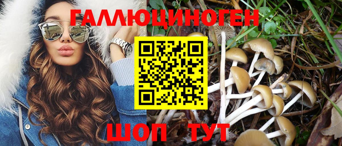 Галлюциногенные грибы ЛСД Новоалександровск