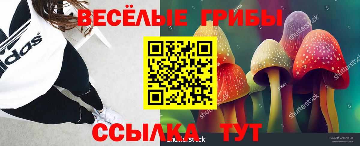 Псилоцибиновые грибы мухоморы  Вход с VPN  Новоалександровск 